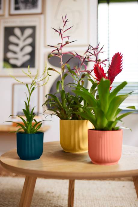 vibes fold rond mini 11cm diepblauw